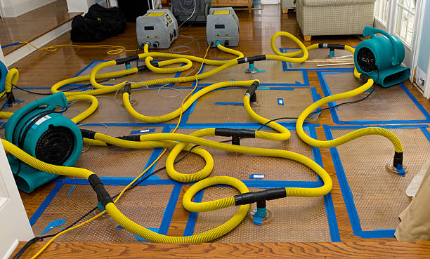 Professional Water Damage Restoration technician working in O'Fallon, IL