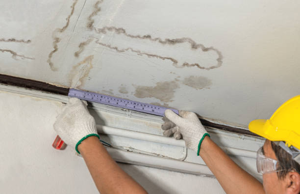 Affordable Water Damage Repair solutions in O'Fallon, IL